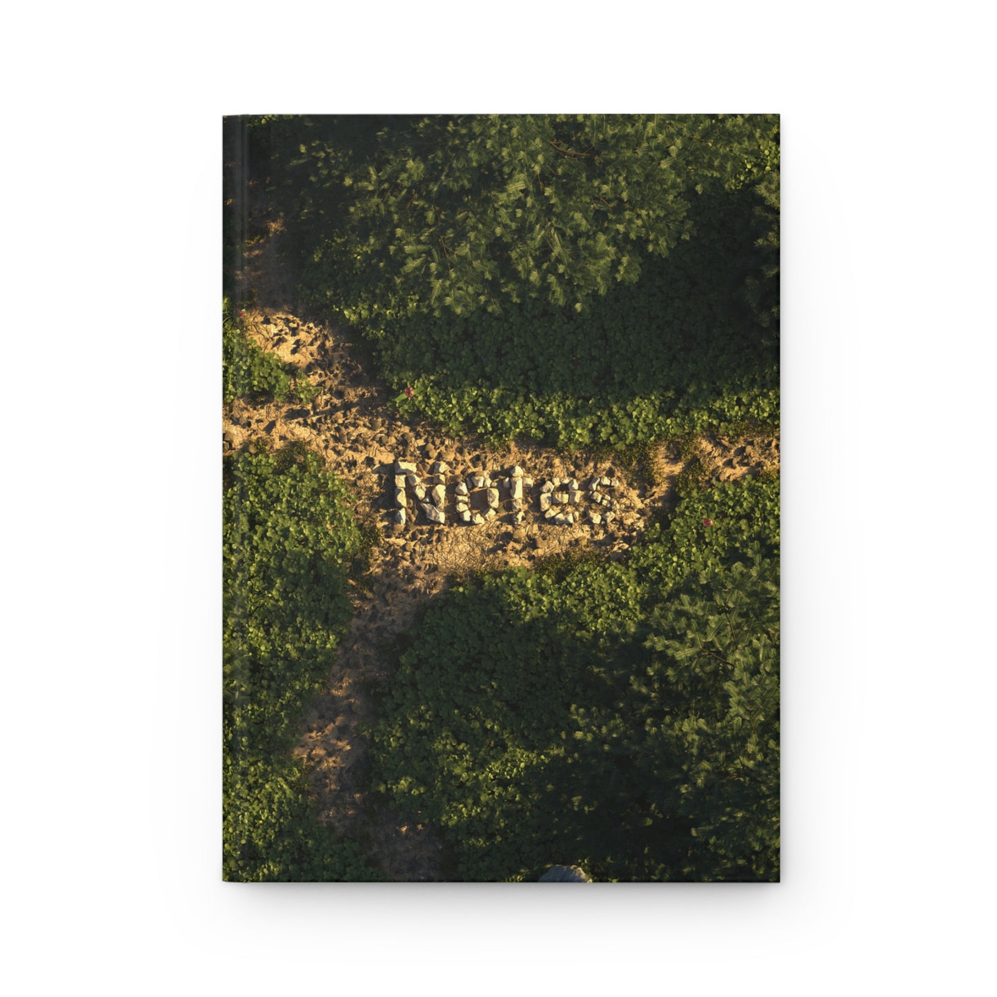 "Pathways" - Notebook