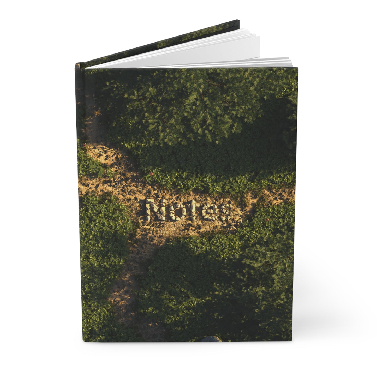 "Pathways" - Notebook