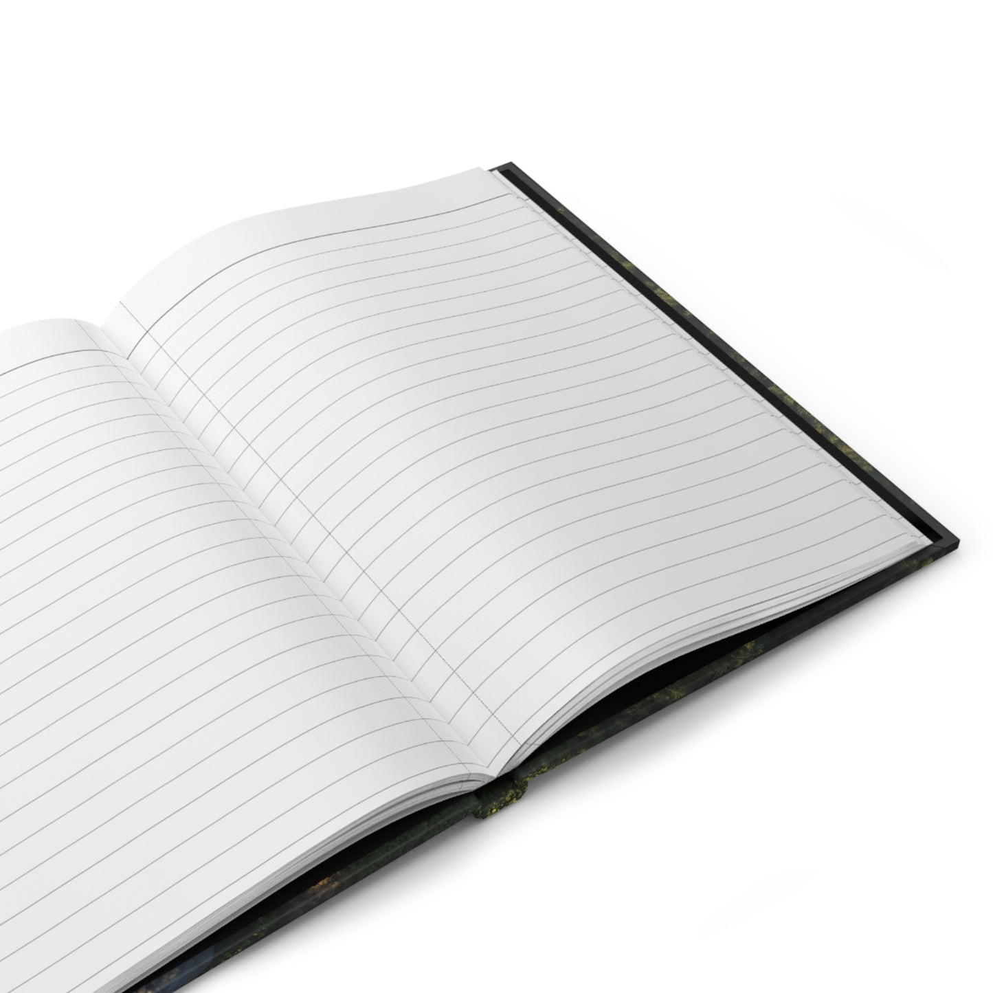 "Pathways" - Notebook